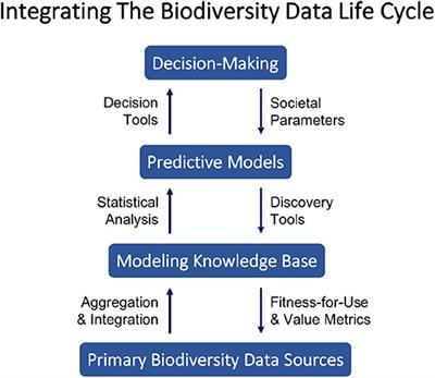 Decentralized but Globally Coordinated Biodiversity Data
